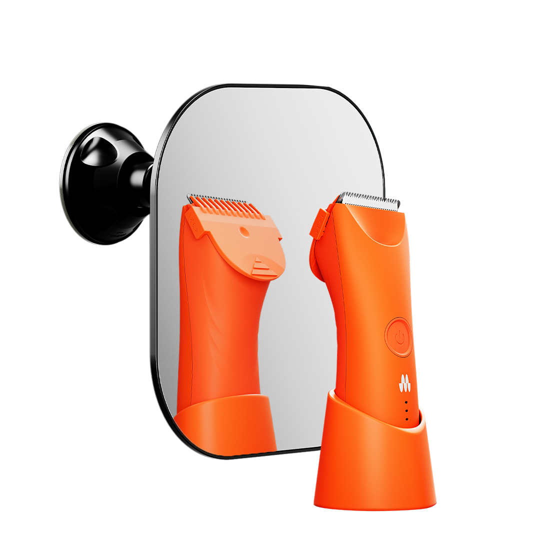 The Reflection Package